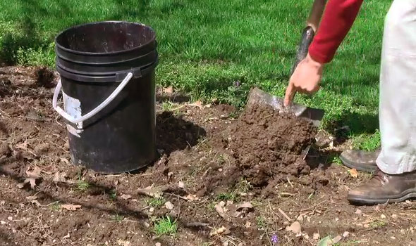 Soil Samples